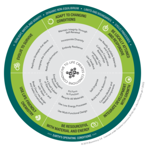 An infographic presented as a circular diagram divided into six green sections, each with a title and a list of bullet points that suggest different ecological and sustainability principles, such as "Adapt to Changing Conditions," "Be Locally Attuned and Responsive," and "Use Life-Friendly Chemistry." Icons and arrows connect the sections, indicating their interrelated nature, and the phrase "Earth's Operating Conditions" runs along the bottom, implying foundational considerations for the principles. Text indicates copyright 2015 by biomimicry 3.8.