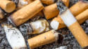 A close-up image of multiple extinguished cigarette butts with ashes.