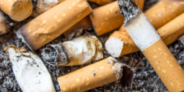 A close-up image of multiple extinguished cigarette butts with ashes.